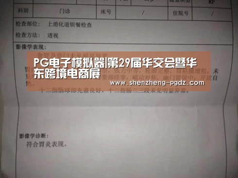 PG试玩